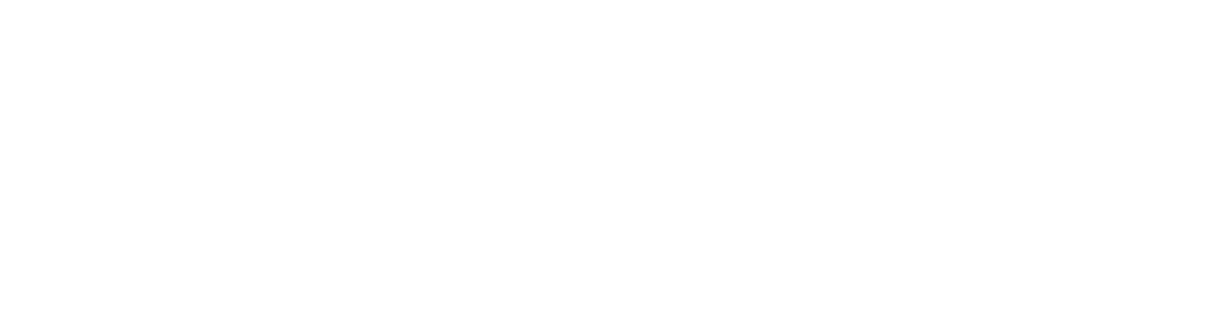 pulsiondev logo